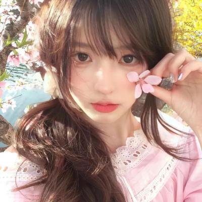 文豪野犬第一季